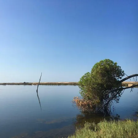 Apartment Victory Village 2a