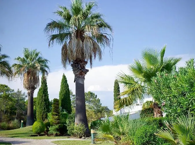 Victory Village 2a Appartamento *